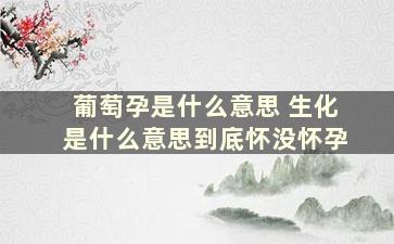 葡萄孕是什么意思 生化是什么意思到底怀没怀孕